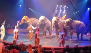 Le cirque Gruss à Dunkerque : le numéro des éléphants