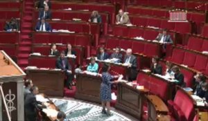Quand NKM fait campagne à l'Assemblée, Cécile Duflot se fâche