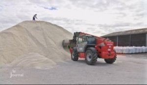 Début de la récolte de sel à Noirmoutier