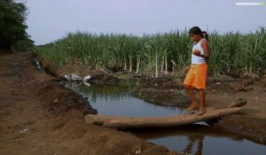 Nicaragua : sur la piste de l’épidémie
