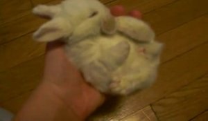 Un bébé lapin qui dort dans une main!! Trop mignon!