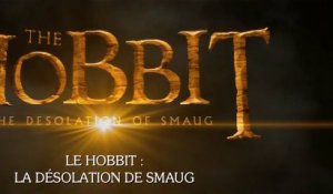Le Hobbit : La desolation de Smaug - Bande-annonce 2 [VOST|HD] [NoPopCorn]
