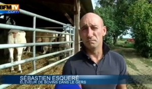 Sommet de l’élevage: les agriculteurs attendent les annonces de François Hollande sur la PAC - 02/10