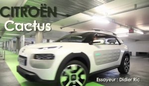 Citroën Cactus, la C4 de 2014 présentée par L'argus