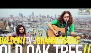 OLD OAK TREE - WHERE DID THE LIGHT GO (BalconyTV)