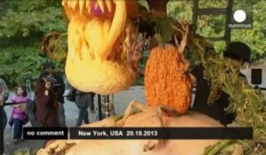 USA: Une citrouille géante dans une... - no comment