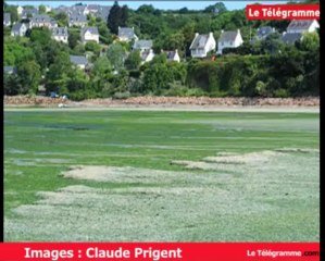 Algues vertes, l'histoire interdite » : un tournage qui dérange en baie de  Saint-Michel-en-Grève