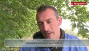 Morbihan. Ecotaxe : les agriculteurs bâchent trois portiques sur les RN 24 et 165
