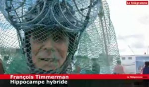 Tonnerres de Brest. Un hippocampe hybride sur un monocycle !