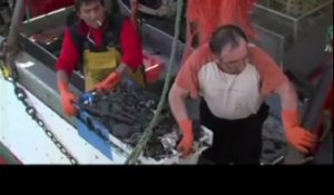 Loctudy. Action des pêcheurs contre le clapage