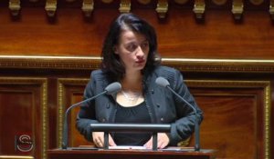 Alur : discours d'ouverture de Cécile Duflot au Sénat