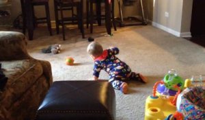 Un chien vol le jouet d'un bébé qui galère pour l'attraper