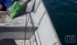Un bébé dauphin pris au piège dans un sac plastique sauvé par des pêcheurs