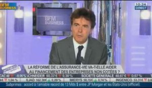"La Demi-mesure sur l'allocation de l'assurance vie est une déception", Denis Champenois, dans Intégrale Placements – 20/11