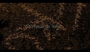 Javier Limón - Promesas de Tierra Videoclip