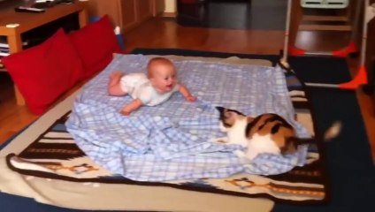 Des Bebe Se Marrent En Regardant Des Chats Compilation Trop Marrante Sur Orange Videos