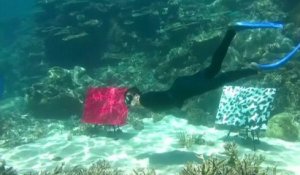 Australie : une galerie d'art sous-marine installée sur la Grande Barrière de corail
