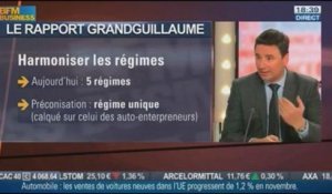 Laurent Grandguillaume, député PS de Côte d'Or, auteur du rapport sur la réforme de l'auto entrepreneuriat, dans Le Grand Journal - 17/12 3/4