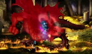 Dragon's Crown - Fighter Video