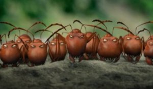 Bande-annonce Minuscule - La Vallée des fourmis perdues
