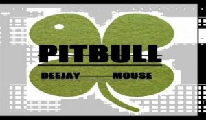Deejay Mouse - PITBULL