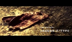 Desire, un film sur la Jaguar F-Type