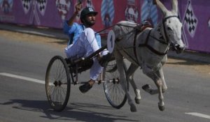 Pakistan : courses d'ânes déjantées dans les rues de Karachi
