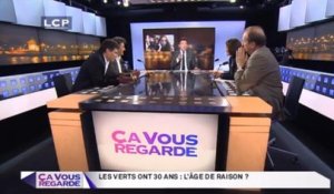 Ça Vous Regarde - Le débat : Les Verts ont 30 ans : l’âge de raison ?