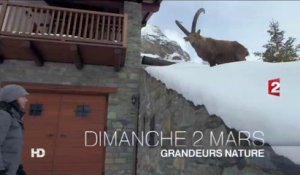 France 2 Teaser Grandeurs Nature "Là-haut sur la montagne"