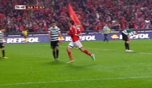 Portugal - Enzo Pérez enflamme le Stade de la Luz