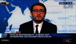 L'Édito éco d'Emmanuel Duteil: Pacte de responsabilité: Le Medef veut "un moratoire" sur certains projets de loi - 18/02