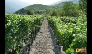 LE SENTIER VITICOLE   DE SIERRE A SALGESH