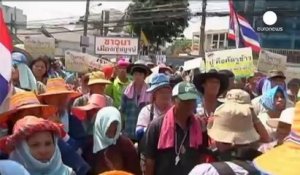 Thaïlande : les riziculteurs rejoignent les manifestants anti-gouvernement