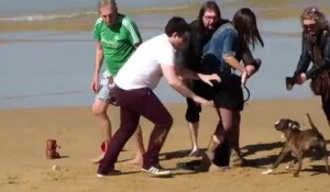 Un chien attaque des gens sur la plage