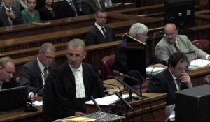 Procès Pistorius : cris terrifiants et coups de feu la nuit du meurtre