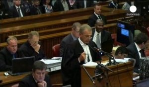 Procès Pistorius : un expert de la défense cloué au pilori