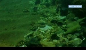 Pollution marine : "Quand on plonge, on voit des déchets jusqu'à 2500m", explique l'Ifremer – 02/05