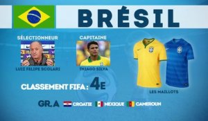 Coupe du Monde 2014 : focus sur le Brésil