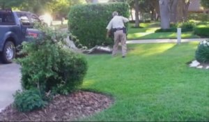 Un alligator dans le jardin d'une prof de piano