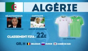 Coupe du Monde 2014 : focus sur l'Algérie !