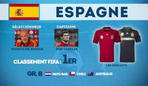 Coupe du Monde 2014 : focus sur l'Espagne !