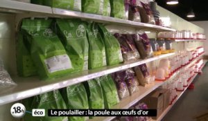 18h Eco : les poulaillers/Creative Factory