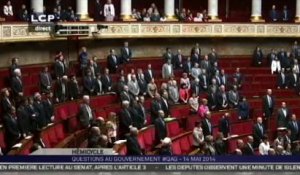 L'émotion à l'Assemblée : une minute de silence après la mort de la journaliste Camille Lepage en Centrafrique