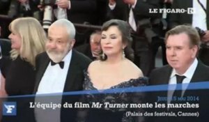 Cannes : la montée des marches de l'équipe du film Mr. Turner