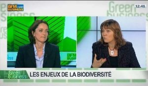 Les enjeux de la biodiversité: Florence Guillaume, dans Green Business - 25/05 5/5