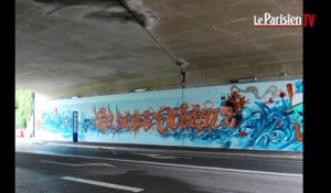 Val d'Oise : le graffiti est sous le pont