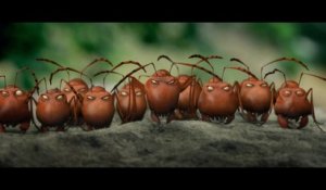 Minuscule, la vallée des fourmis perdues (Bluray 3D + DVD)