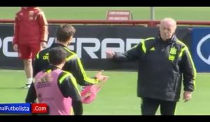 Fabregas viré par Del Bosque