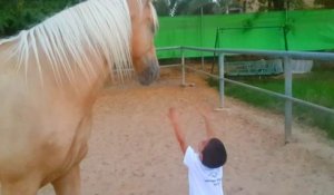 Un enfant spécial rencontre un cheval