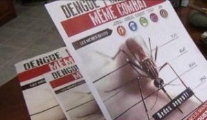 Chikungunya aux Antilles: une communication encore faible sur le virus - 25/06